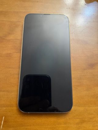 iPhone 13 Pro Max 1TB