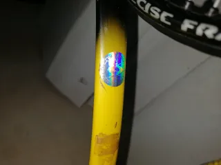 Racchetta Volkl C10 Pro + custodia