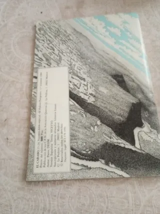 El carabo: El Halcón Peregrino