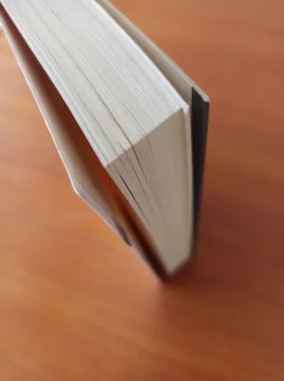 Ningú no ho ha vist