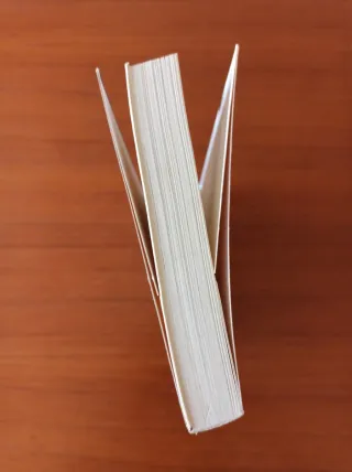 Ningú no ho ha vist