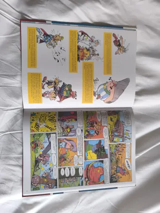 Cómic Asterix y Obelix