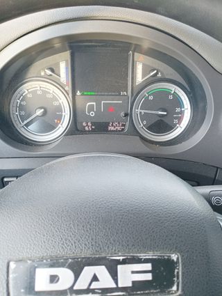 Camion rigido Daf Lf 310 2015