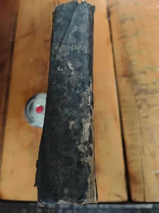 Bibbia anno 1893 originale