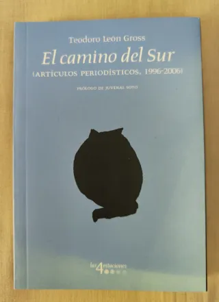 El camino del sur.