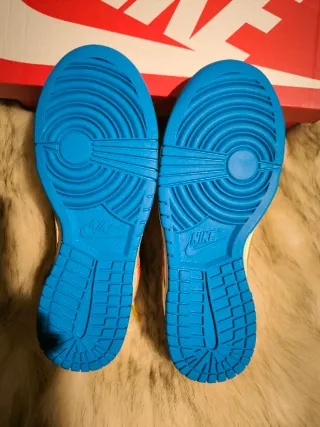 Zapatillas Nike Dunk Low Multicolor