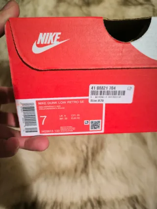 Zapatillas Nike Dunk Low Multicolor