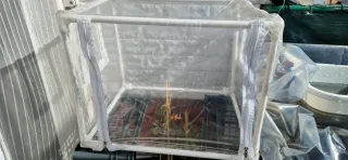 Mini invernadero para plantas