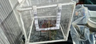Mini invernadero para plantas