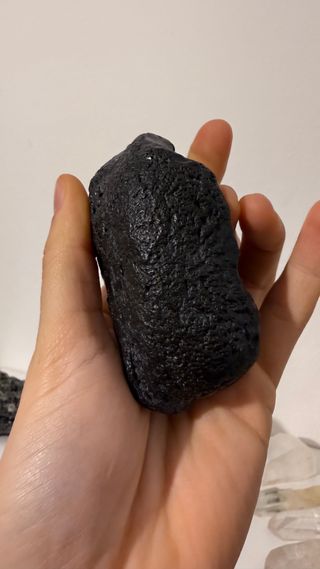 Fossile Timpano Balena USA