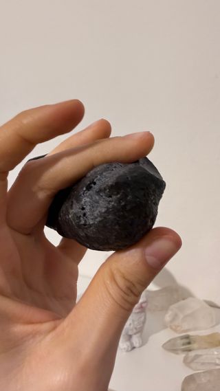 Fossile Timpano Balena USA