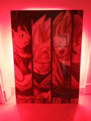Cuadro resina epoxi Dragon Ball