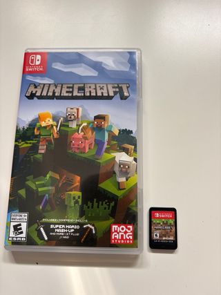 Minecraft Nintendo Switch