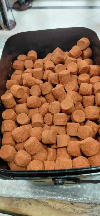 Speed Pellets Antartic Krill Robin Red