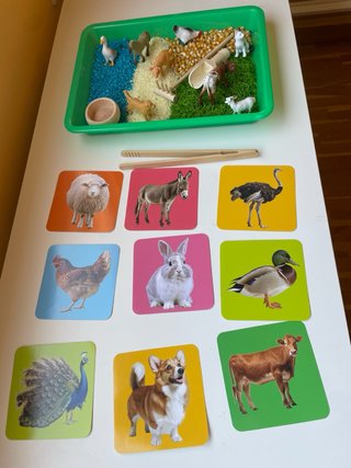 Bandeja sensorial animales de granja montessori