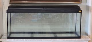 Equipo de acuariofilia