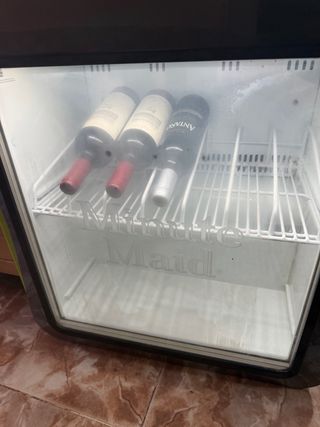Nevera pequeña con puerta de cristal