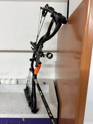 Arco Hoyt compuesto poleas