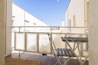 Reforma , reformas , reformista , integral