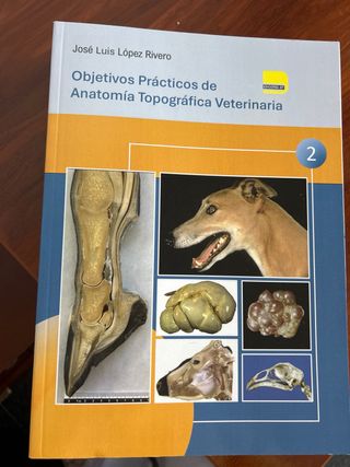 Libros Anatomia topográfica