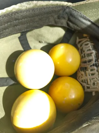 Bolas de billar