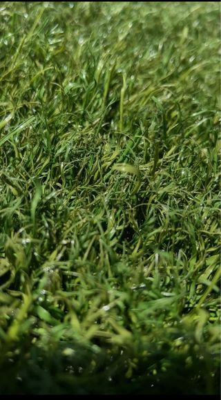 Césped artificial reciclado