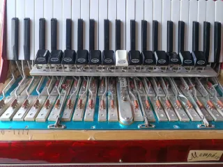 Fisarmonica 120 bassi