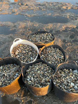 Parque de cultivo 160m² en Carril. Tlf 657355319