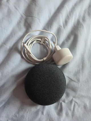 Google Nest Mini Negro con Cargador