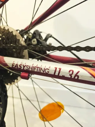 Bicicleta Riverside 500