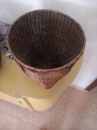 Macetero elefante 28 diámetrox25 alto