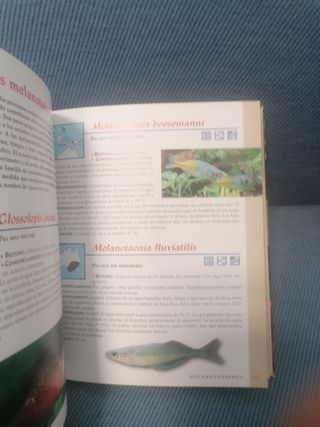 Libro Guía peces acuario agua dulce