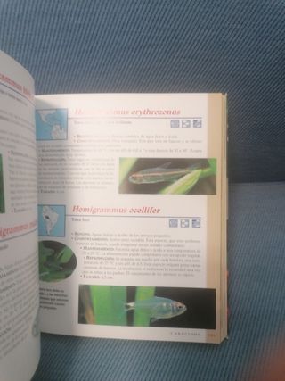 Libro Guía peces acuario agua dulce