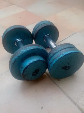 MANCUERNAS 8KG AZULES (PAR)