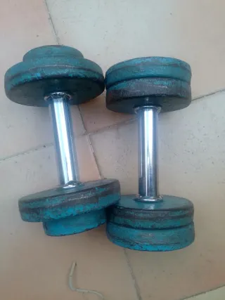 MANCUERNAS 8KG AZULES (PAR)