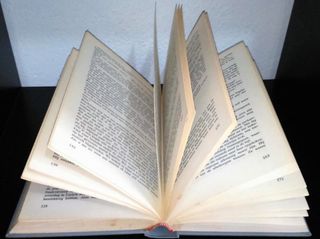 Het Matlock Document de Robert Ludlum