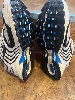 Nike Air Pegasus 2005