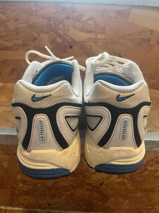 Nike Air Pegasus 2005