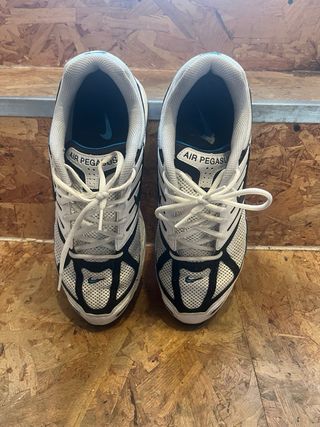 Nike Air Pegasus 2005