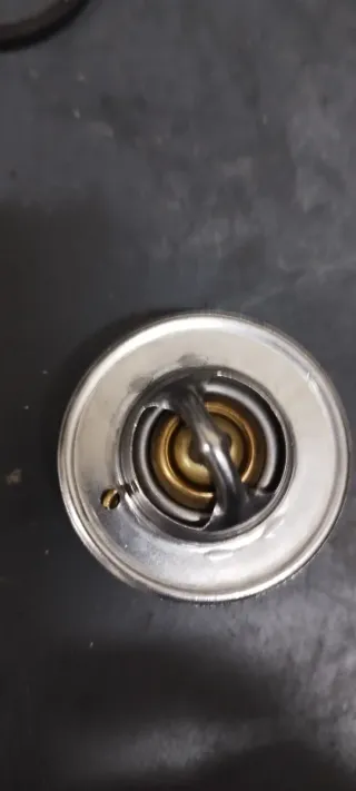 Termostato Land Rover Santana. 82°