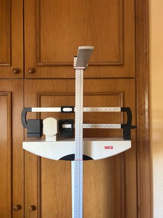 Báscula romana marca Seca