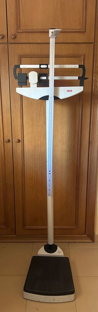 Báscula romana marca Seca