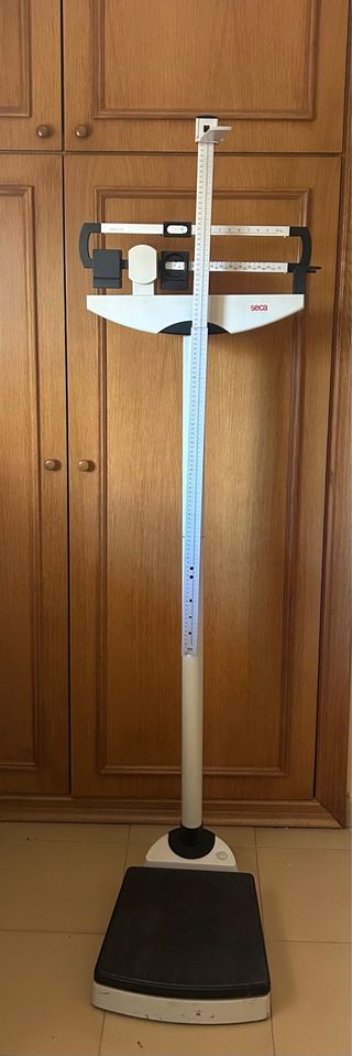 Báscula romana marca Seca