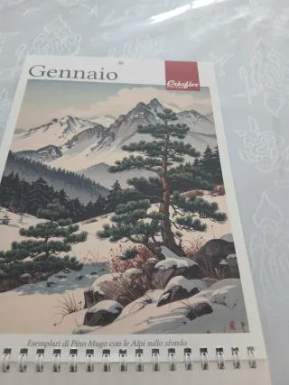 Calendario 2026 Erbaflor