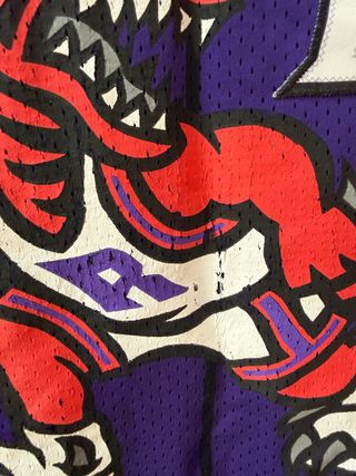 Camiseta NBA Raptors Vince Carter 15