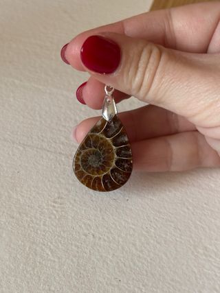 Colgante Amonite Marrón y Plateado
