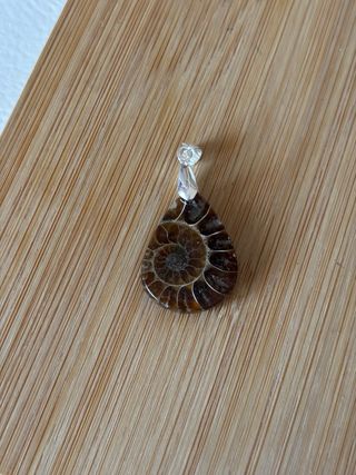 Colgante Amonite Marrón y Plateado