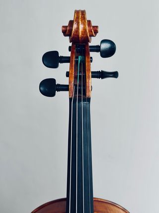 Violino 4/4