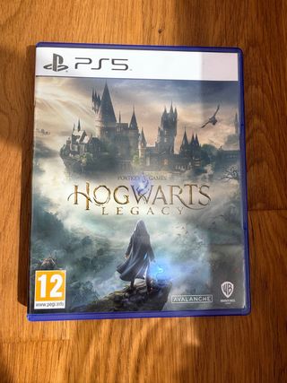 Hogwarts Legacy PS5