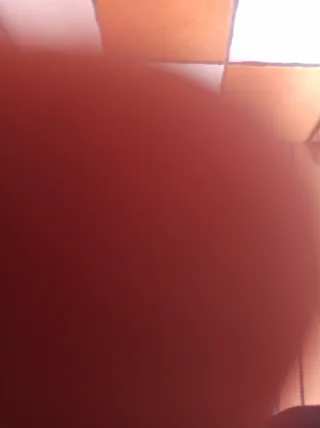 Lote 6 carrocerías Scalextric